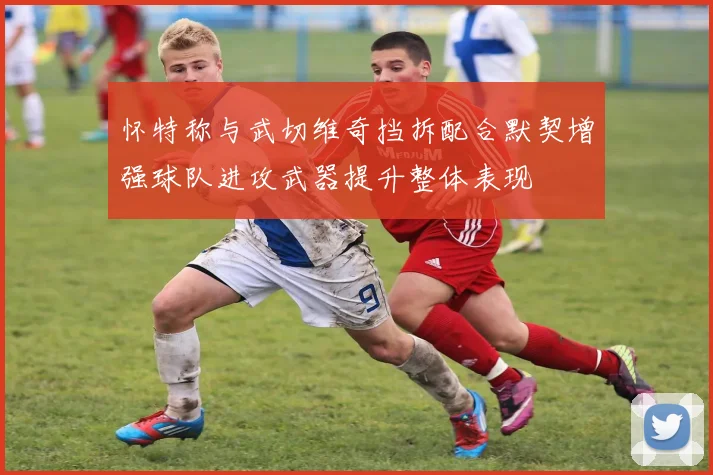 怀特称与武切维奇挡拆配合默契增强球队进攻武器提升整体表现